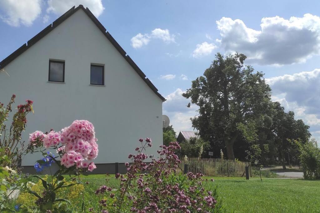 Storchennest - Ferienwohnung Am Storchenradweg Ketzür Exterior foto